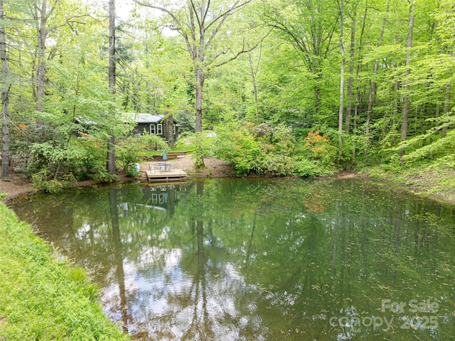 1161 Crab Creek Rd, Hendersonville, NC 28739 - photo 6