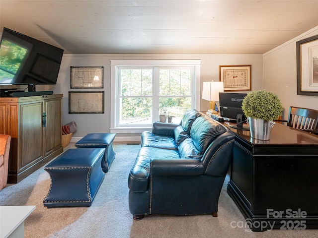 1161 Crab Creek Rd, Hendersonville, NC 28739 - photo 16