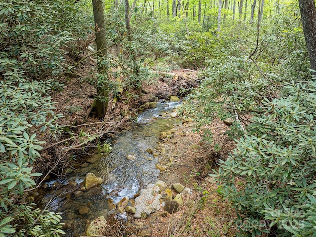 1161 Crab Creek Rd, Hendersonville, NC 28739 - photo 42
