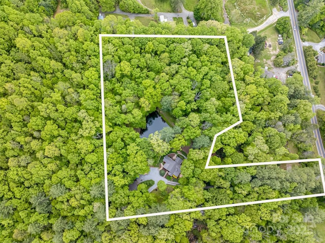 1161 Crab Creek Rd, Hendersonville, NC 28739 - photo 43