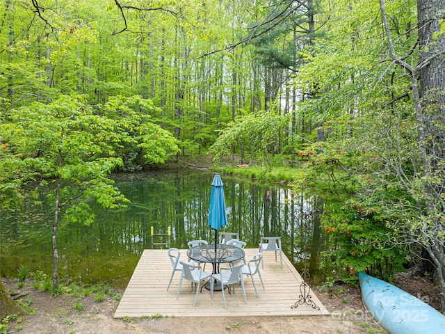 1161 Crab Creek Rd, Hendersonville, NC 28739 - photo 45
