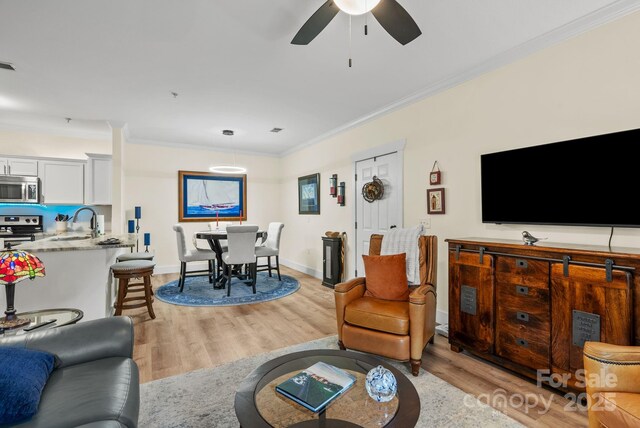 435 Appeldoorn Cir, Asheville, NC 28803 - photo 9