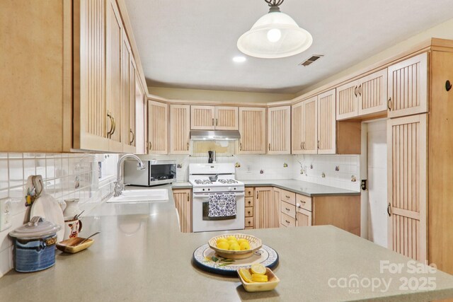 169 Sunshine Cove Rd, Waynesville, NC 28785 - photo 13