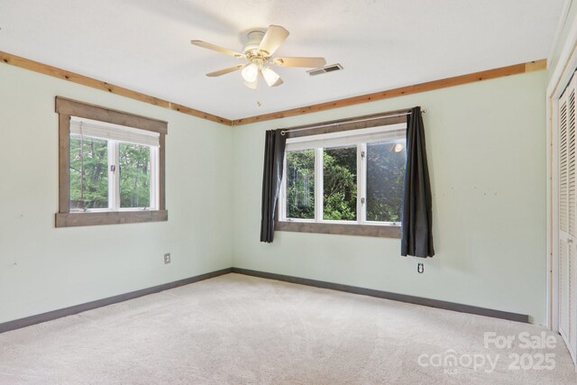 169 Sunshine Cove Rd, Waynesville, NC 28785 - photo 23