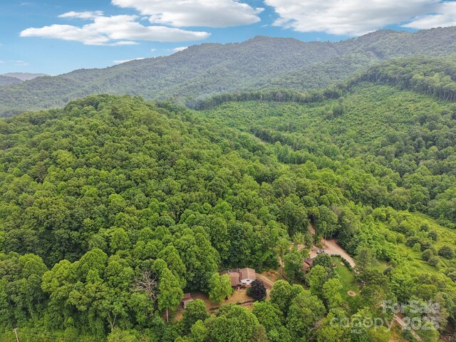 169 Sunshine Cove Rd, Waynesville, NC 28785 - photo 35