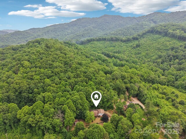 169 Sunshine Cove Rd, Waynesville, NC 28785 - photo 36