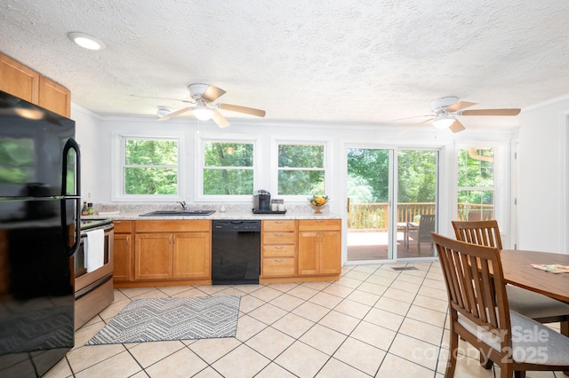 35 Pope Rd, Brevard, NC 28712 - photo 9