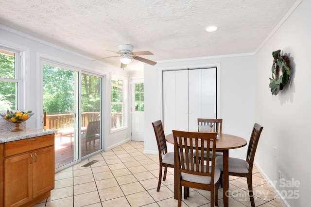 35 Pope Rd, Brevard, NC 28712 - photo 10