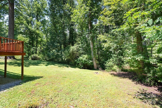 35 Pope Rd, Brevard, NC 28712 - photo 23