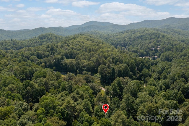 35 Pope Rd, Brevard, NC 28712 - photo 28