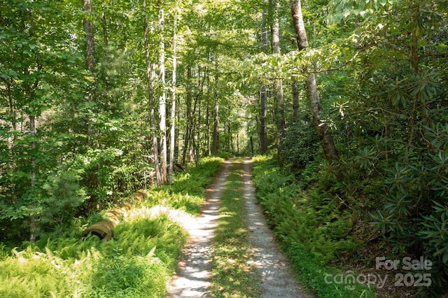 35 Pope Rd, Brevard, NC 28712 - photo 29
