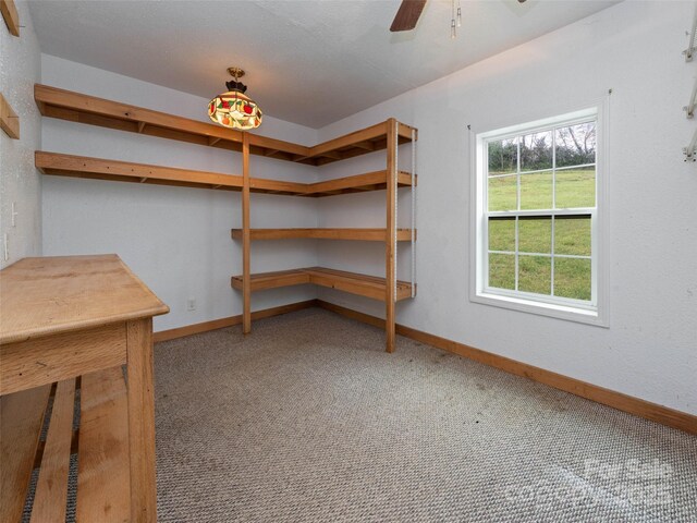 20 Toby Dr, Asheville, NC 28806 - photo 16