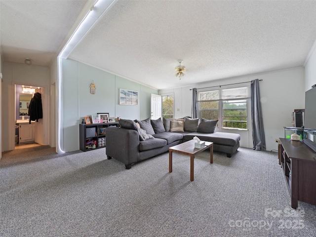 20 Toby Dr, Asheville, NC 28806 - photo 33