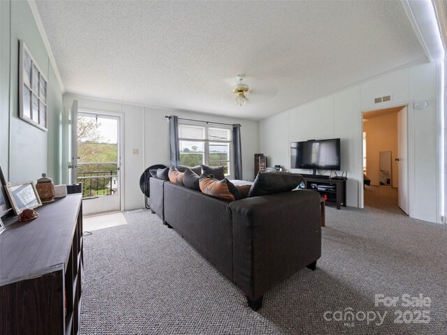 20 Toby Dr, Asheville, NC 28806 - photo 34
