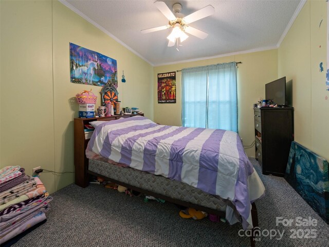 20 Toby Dr, Asheville, NC 28806 - photo 36