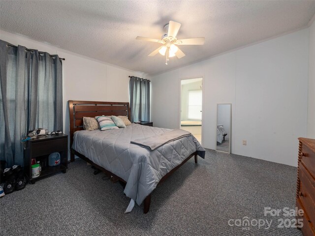 20 Toby Dr, Asheville, NC 28806 - photo 39
