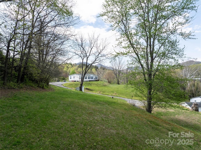 20 Toby Dr, Asheville, NC 28806 - photo 41