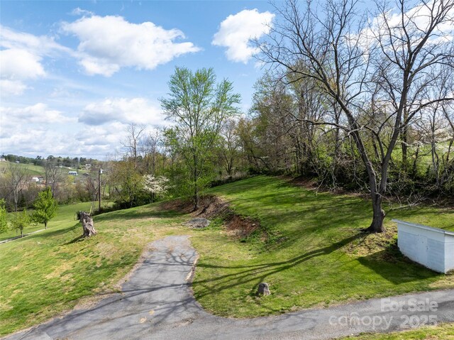 20 Toby Dr, Asheville, NC 28806 - photo 44