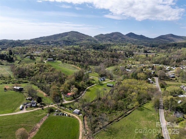 20 Toby Dr, Asheville, NC 28806 - photo 47