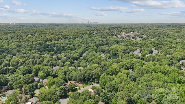 2234 Hamilton Mill Rd, Charlotte, NC 28270 - photo 28