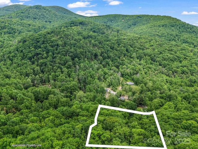 999 Bearwallow Mountain Rd, Hendersonville, NC 28792 - photo 2