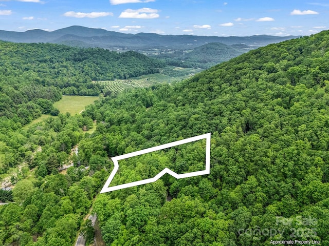 999 Bearwallow Mountain Rd, Hendersonville, NC 28792 - photo 4