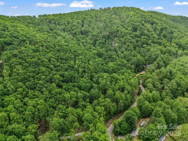 999 Bearwallow Mountain Rd, Hendersonville, NC 28792 - photo 6