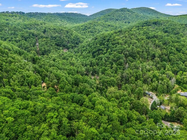 999 Bearwallow Mountain Rd, Hendersonville, NC 28792 - photo 8