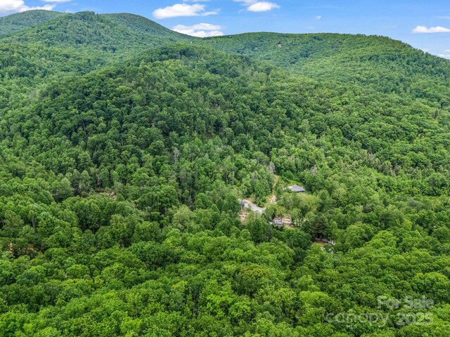 999 Bearwallow Mountain Rd, Hendersonville, NC 28792 - photo 9