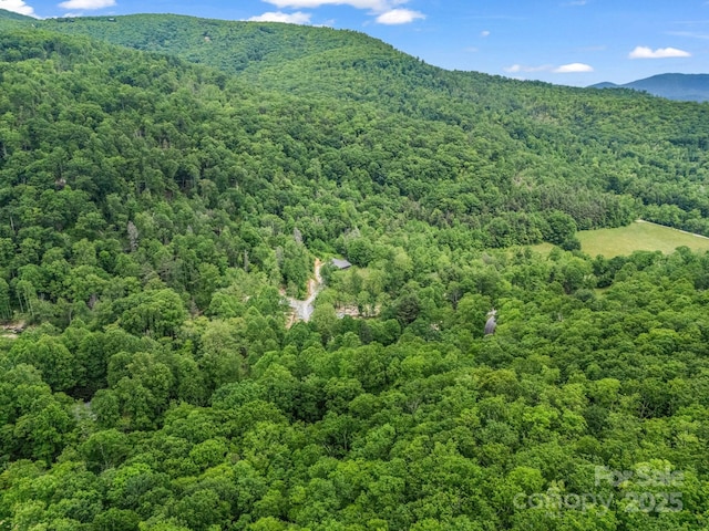 999 Bearwallow Mountain Rd, Hendersonville, NC 28792 - photo 10