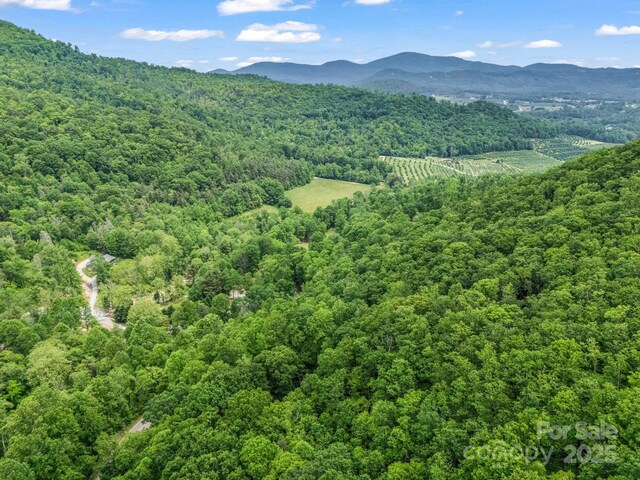 999 Bearwallow Mountain Rd, Hendersonville, NC 28792 - photo 11