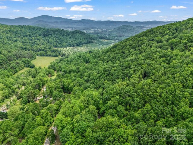 999 Bearwallow Mountain Rd, Hendersonville, NC 28792 - photo 12