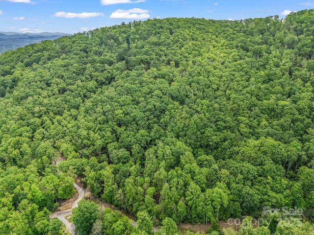 999 Bearwallow Mountain Rd, Hendersonville, NC 28792 - photo 14