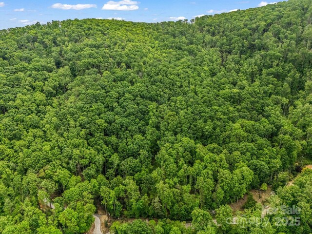999 Bearwallow Mountain Rd, Hendersonville, NC 28792 - photo 15
