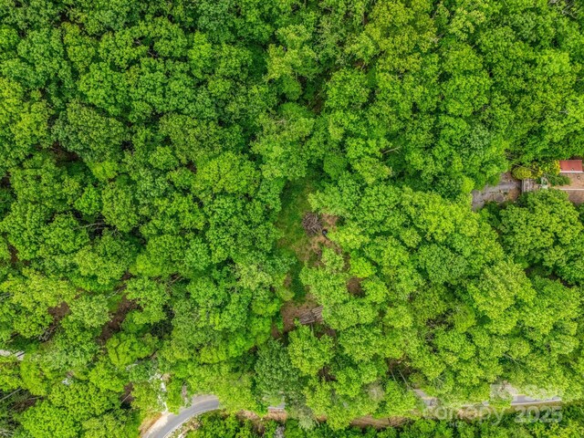 999 Bearwallow Mountain Rd, Hendersonville, NC 28792 - photo 16