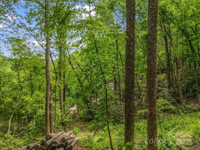999 Bearwallow Mountain Rd, Hendersonville, NC 28792 - photo 18