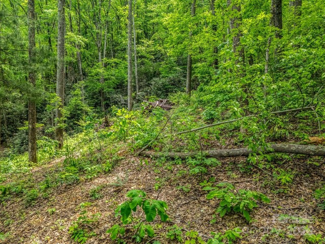 999 Bearwallow Mountain Rd, Hendersonville, NC 28792 - photo 19