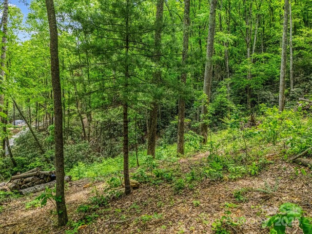 999 Bearwallow Mountain Rd, Hendersonville, NC 28792 - photo 20