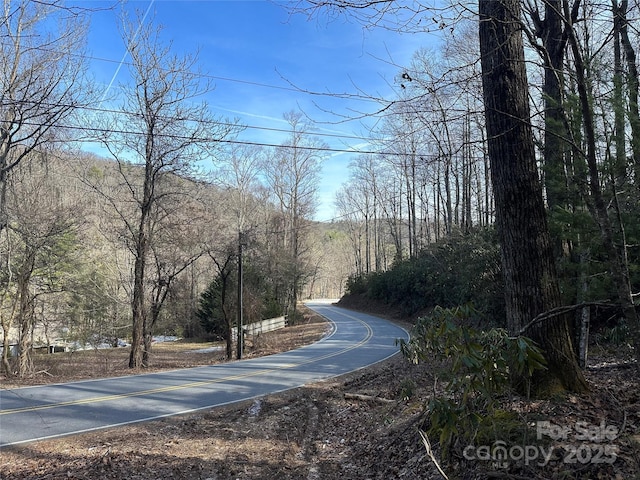 999 Bearwallow Mountain Rd, Hendersonville, NC 28792 - photo 26