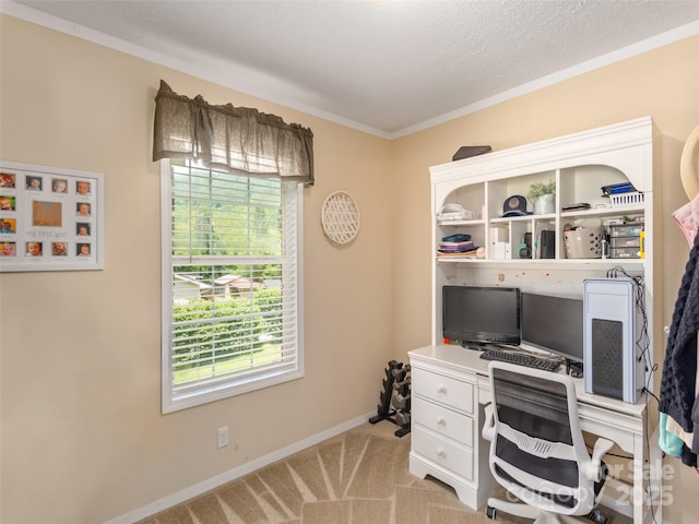 16 Sams Branch Rd, Candler, NC 28715 - office featuring healthy amount of natural light, crown molding, baseboards, light colored carpet, and a textured ceiling