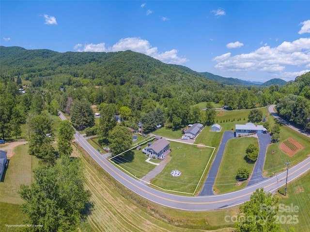 16 Sams Branch Rd, Candler, NC 28715 - view of property location featuring a forest and a mountainous background