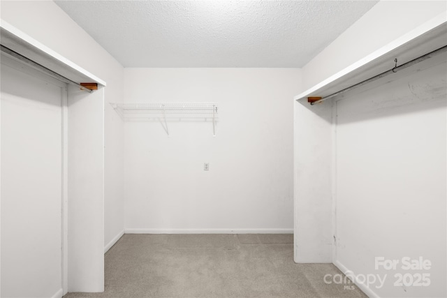 2309 Potter Rd S, Waxhaw, NC 28173 - walk in closet with carpet floors