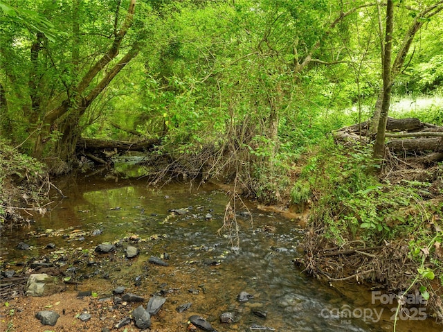2309 Potter Rd S, Waxhaw, NC 28173 - view of nature