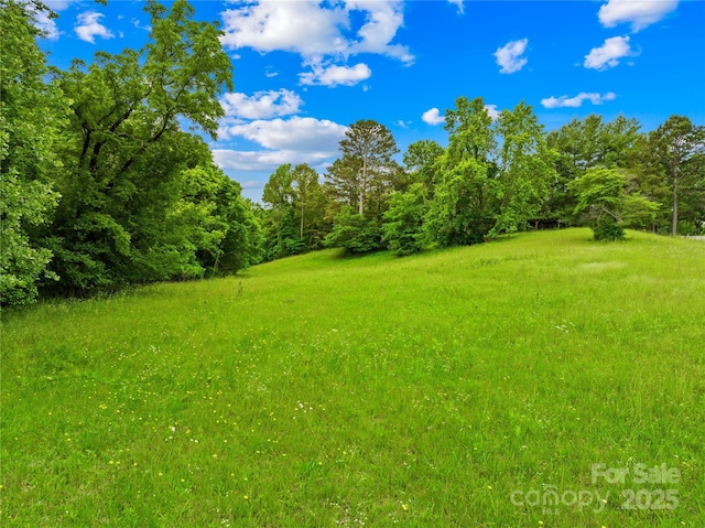 2309 Potter Rd S, Waxhaw, NC 28173 - view of yard
