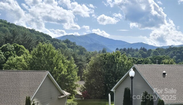 62 Denali Ln, Waynesville, NC 28786 - photo 17