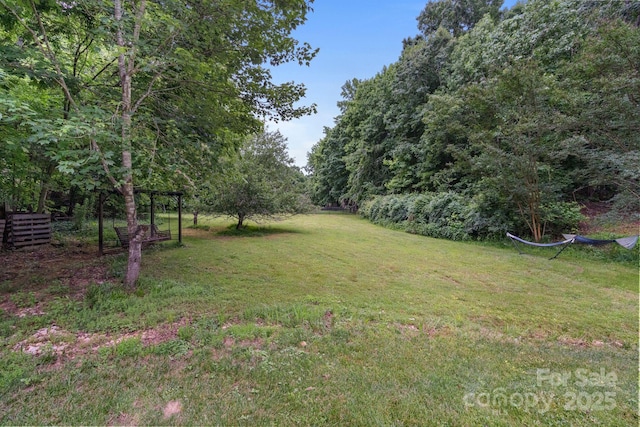 2006 Sandy Pond Ln, Waxhaw, NC 28173 - view of grassy yard featuring a forest view