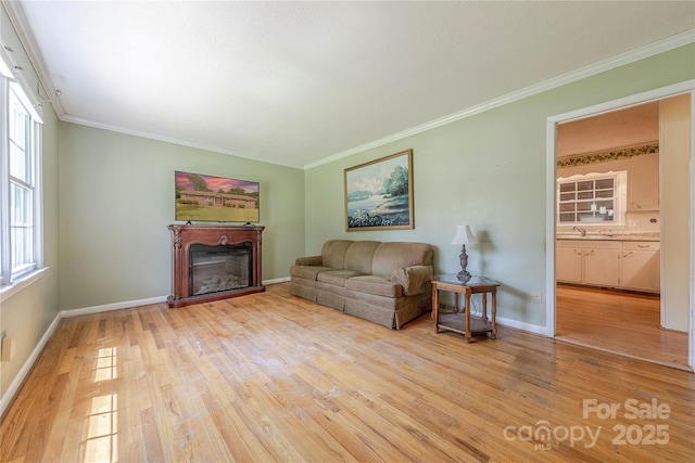 5840 Potter Rd, Matthews, NC 28104 - living area with light wood finished floors, a glass covered fireplace, ornamental molding, plenty of natural light, and baseboards