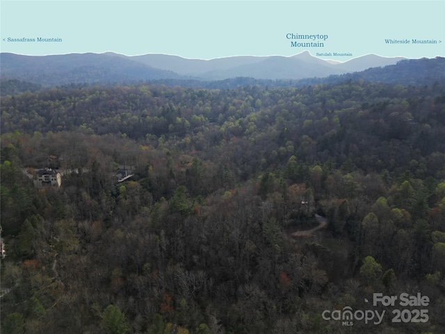 LOT96 Black Oak Dr Unit 96, Sapphire, NC 28774 - photo 1