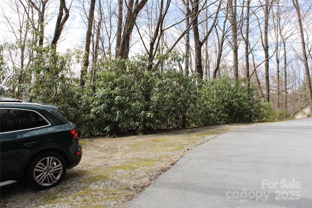 LOT96 Black Oak Dr Unit 96, Sapphire, NC 28774 - photo 2