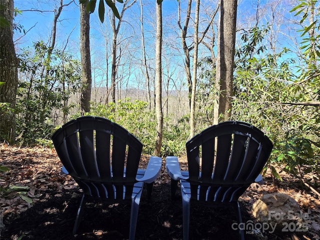 LOT96 Black Oak Dr Unit 96, Sapphire, NC 28774 - photo 3